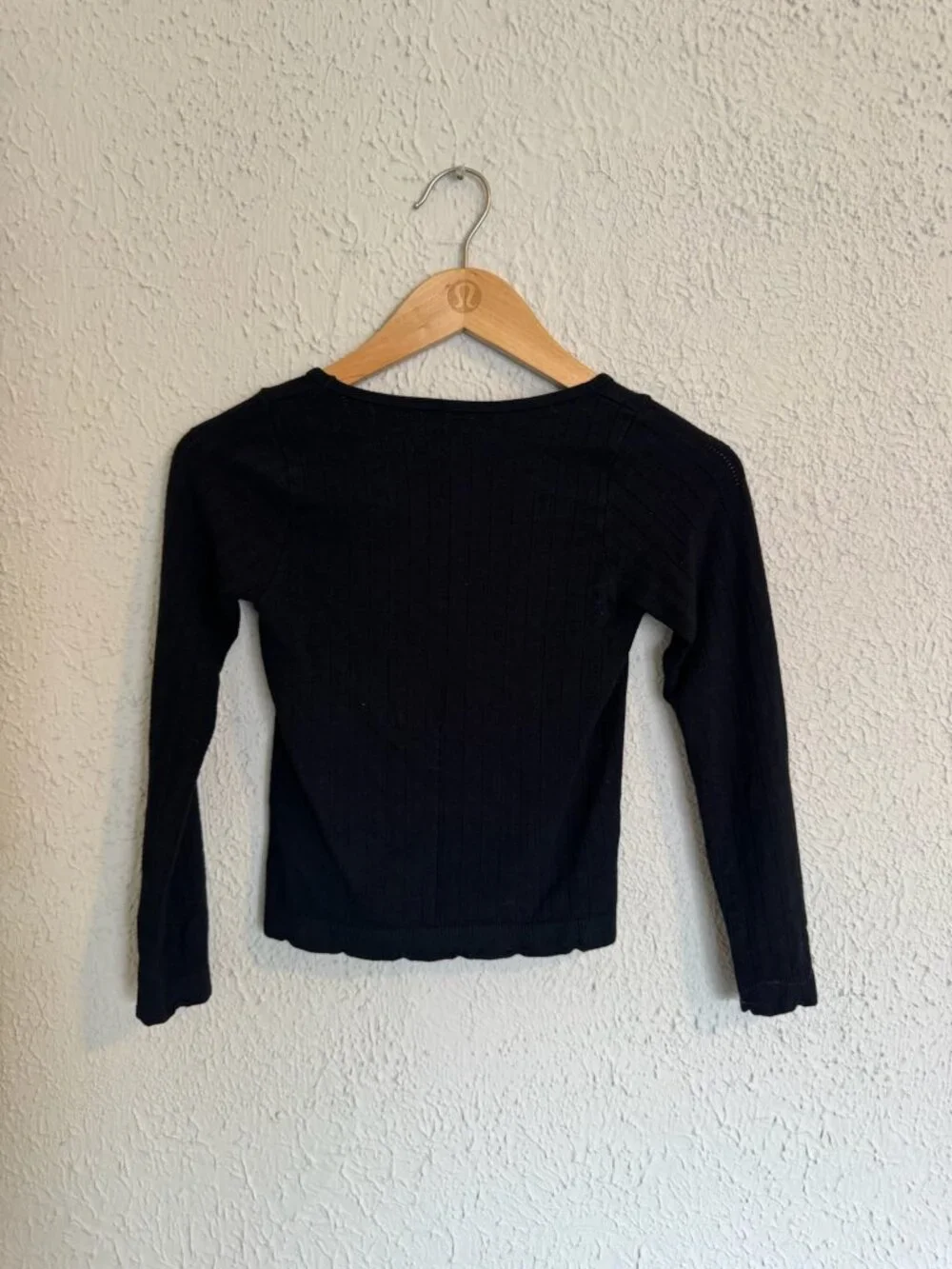 Long-Sleeve Anthropologie Crop Top